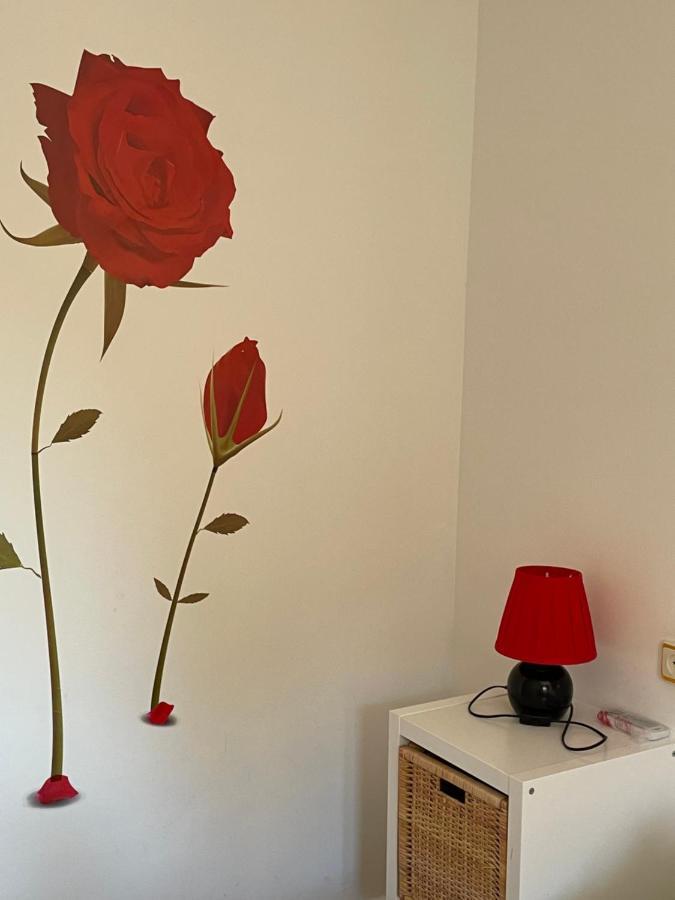 Apartamento Beatriz Cuenca  Ngoại thất bức ảnh